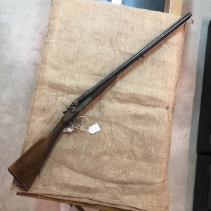 Bernardelli cani esterni