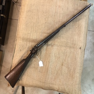 Bernard Cal. 12 cani esterni