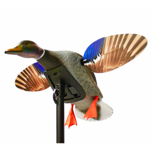 Mojo® Elite Germano Maschio Senza Telecomando