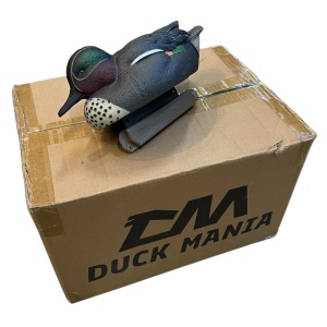 Alzavola Maschio 6 PZ