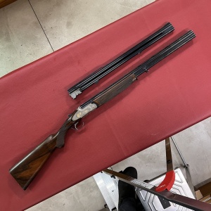 Rizzini Artemis Light