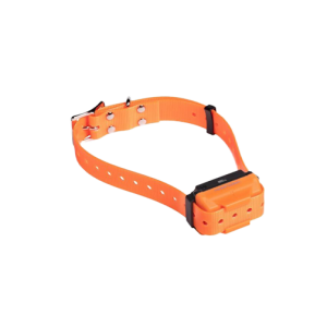 Collare Aggiuntivo Canicom R