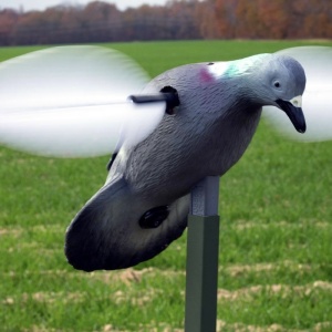 Mojo piccione motorizzato 6V ali rotanti