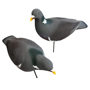 Set colombaccio 5 attivi + 5 in pastura